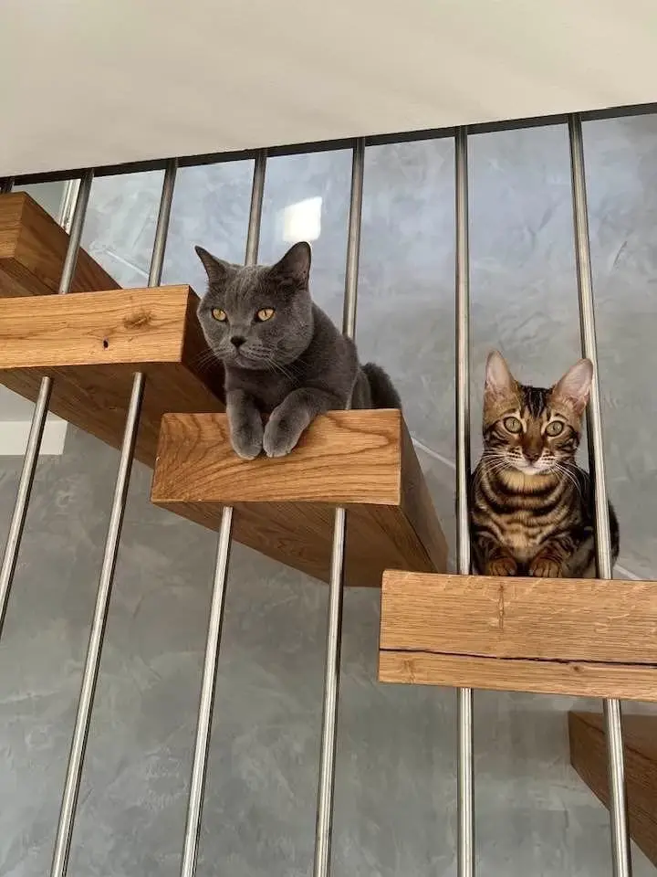 Kragarmtreppen